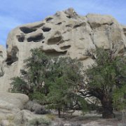 MonoBasin 177 : MonoBasin